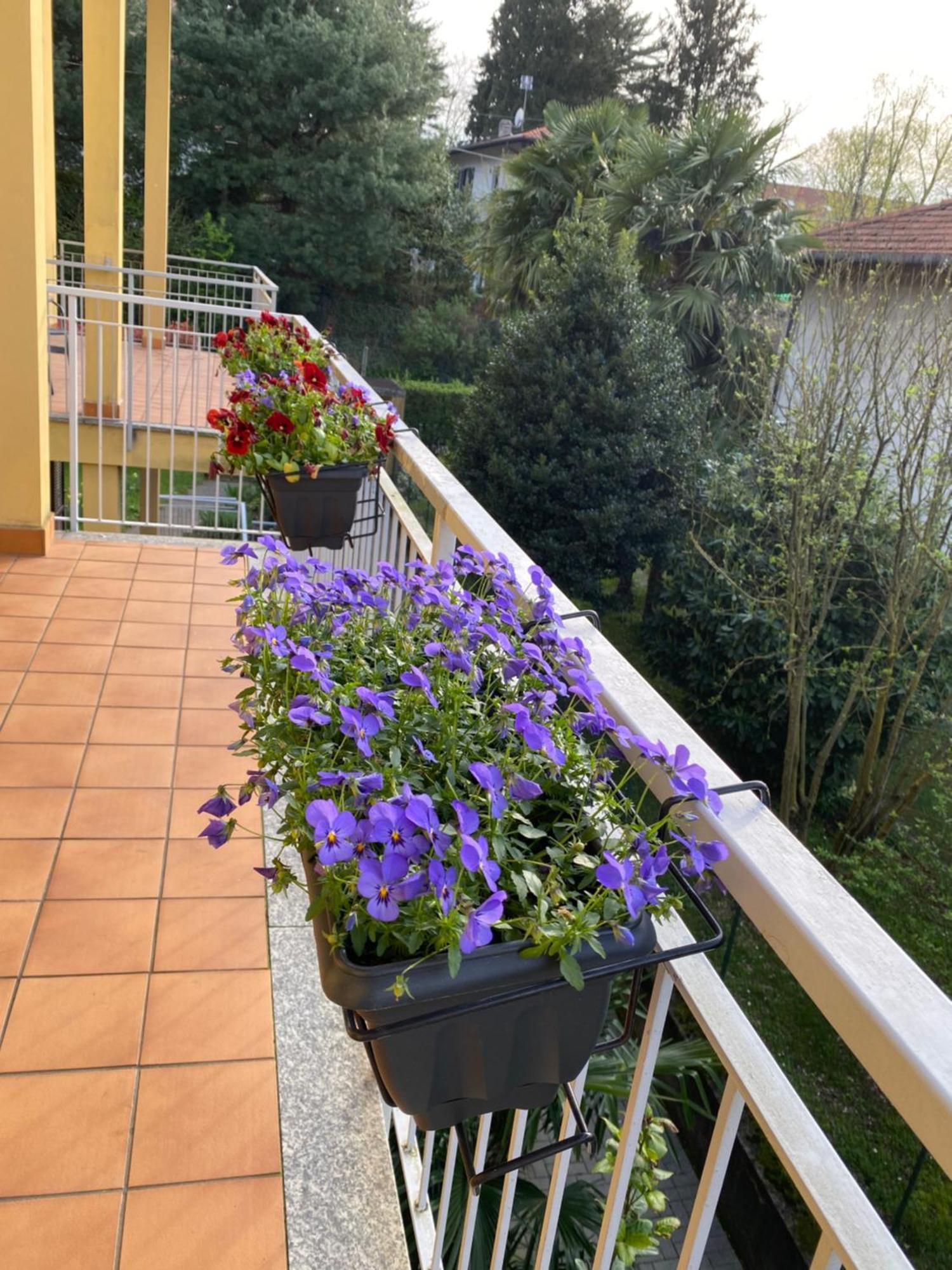 Appartamento Anna Lungo Fiume - Lago Maggiore Sesto Calende Exterior foto